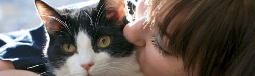 banner1 banner1