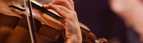 violino violino